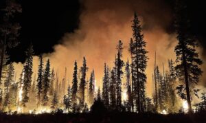 'Forest Fire Fantasy': A Trenta-Sei Poem by James A. Tweedie 2 ‘Forest Fire Fantasy’: A Trenta-Sei Poem by James A. Tweedie