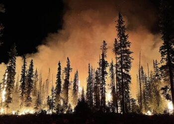 ‘Forest Fire Fantasy’: A Trenta-Sei Poem by James A. Tweedie