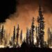 ‘Forest Fire Fantasy’: A Trenta-Sei Poem by James A. Tweedie