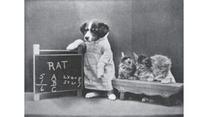 ‘Three Kittens Went to Kitten-Garten’: A Poem by Roy E. Peterson