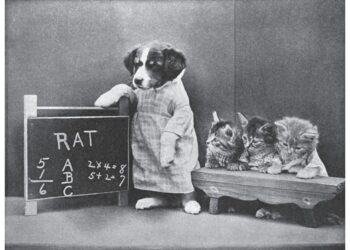 ‘Three Kittens Went to Kitten-Garten’: A Poem by Roy E. Peterson