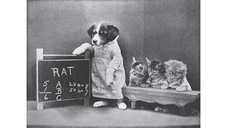 'Three Kittens Went to Kitten-Garten': A Poem by Roy E. Peterson 1 comic photo from 1915, by Harry Whittier Frees
