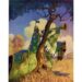 'Then and Now': A Sonnet by James Sale 6 ‘Then and Now’: A Sonnet by James Sale