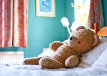 ‘The Last Voyage of Barnaby Bear’: A Poem by Tashvi Reddy