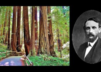A Song Inspired by Edward Rowland Sill’s ‘Among the Redwoods’, by Gunny Markefka