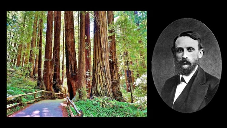 A Song Inspired by Edward Rowland Sill's 'Among the Redwoods', by Gunny Markefka 1 photo of the Redwood trees by Marty Aligata, photo of Edward Rowland Sill