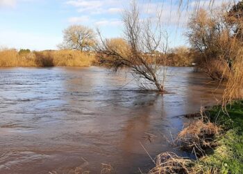 ‘Unrest On the Floodplain’: A Poem by Bhikkhu Nyanasobhano