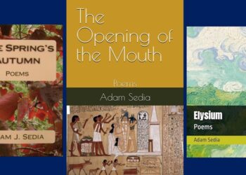 The Zingers of Adam Sedia: A Review by Theresa Werba