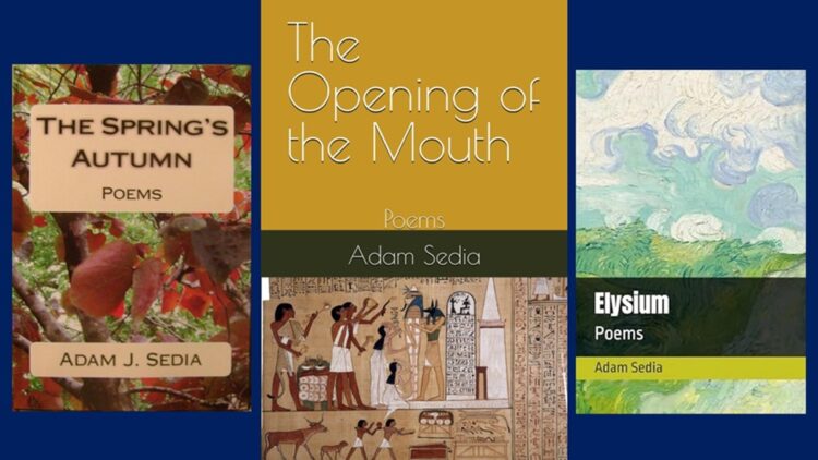 The Zingers of Adam Sedia: A Review by Theresa Werba 1 covers of Adam Sedia's poetry books