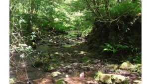 'The Reveal of the Rocks': A Poem by Kyle Fiske 7 ‘The Reveal of the Rocks’: A Poem by Kyle Fiske