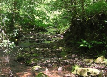 ‘The Reveal of the Rocks’: A Poem by Kyle Fiske