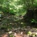 ‘The Reveal of the Rocks’: A Poem by Kyle Fiske