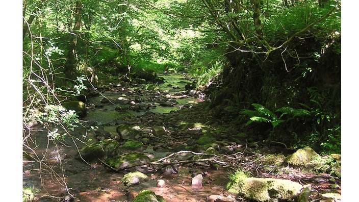 ‘The Reveal of the Rocks’: A Poem by Kyle Fiske