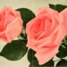 'The Secret Rose' and Other Poetry by Luke Perera 5 ‘The Secret Rose’ and Other Poetry by Luke Perera