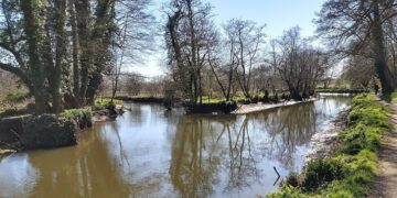 ‘The River Not Taken’ and Other Poetry by Brian Yapko