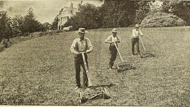 illustration lawn mowing from Dreer's garden book 1912 (public domain)