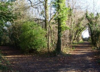 A Song Inspired by Robert Frost’s ‘The Road Not Taken’, by Gunny Markefka