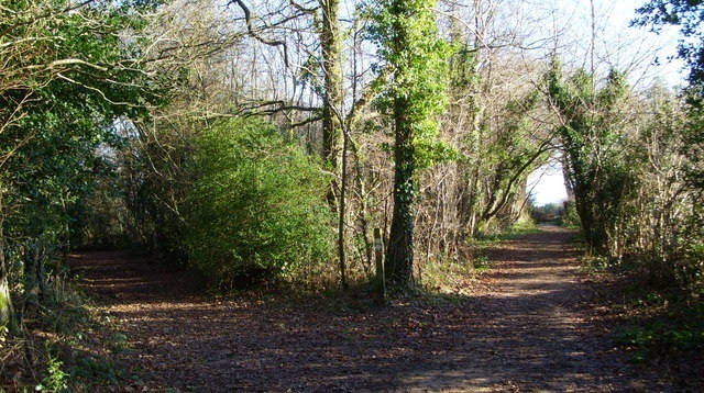 photo of two paths diverging by Harvey Robinson